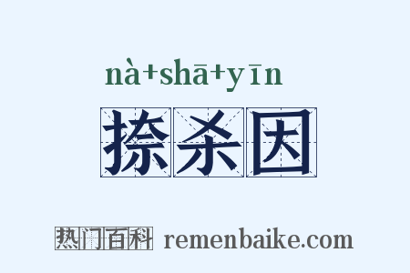 捺杀因是什么意思的图片